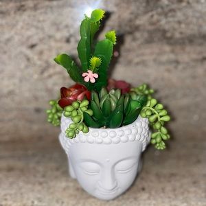 Succulent arrangement